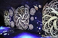 VBS_5099 - Mostra Escher